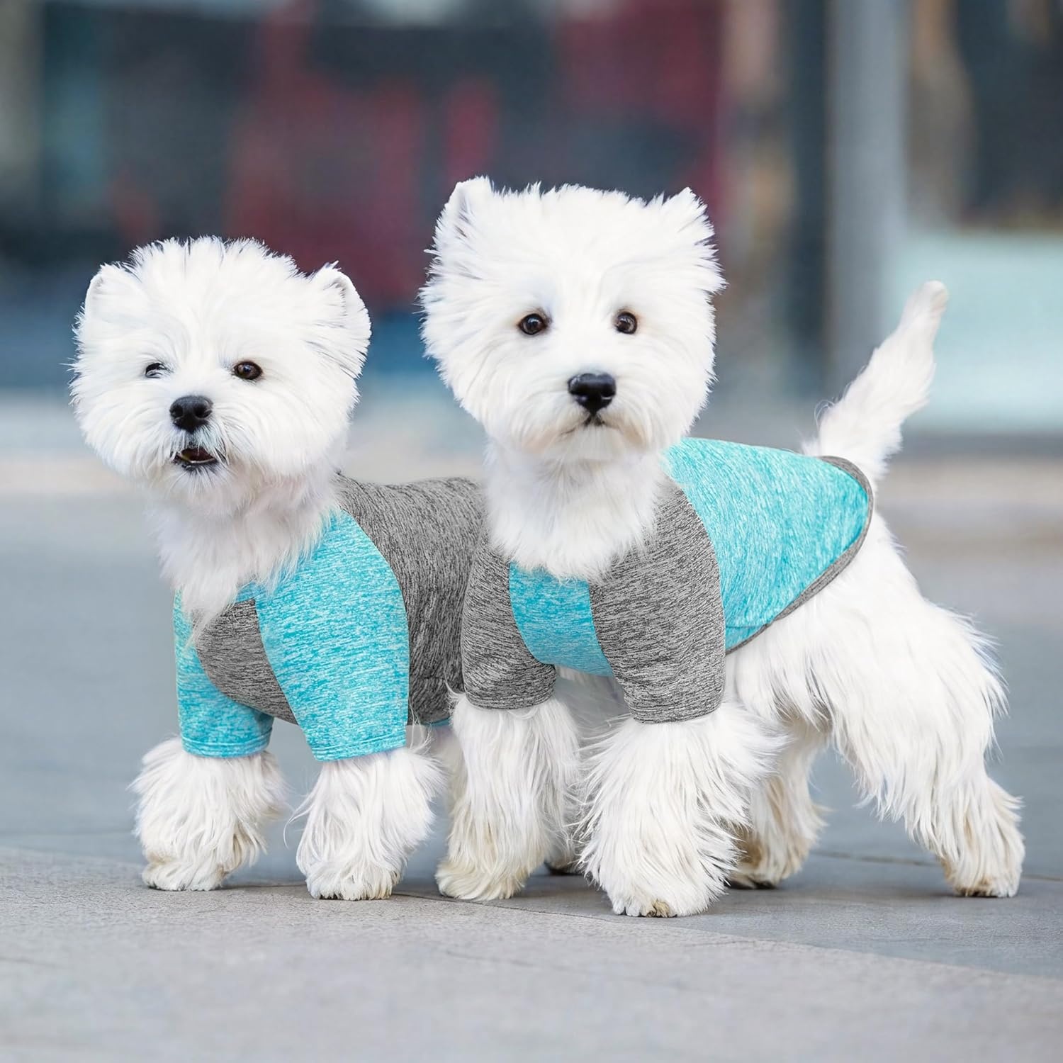 image:imageKYEESE 2 Pack Dog Shirts with Sleeves Lightweight Sun Protection Quick Dry TShirts for Medium Dogs with Sensitive Skin Soft Breathable Summer Clothes Reflective for Night Walks Blue amp Grey XL2 2PackGreyLake Blue