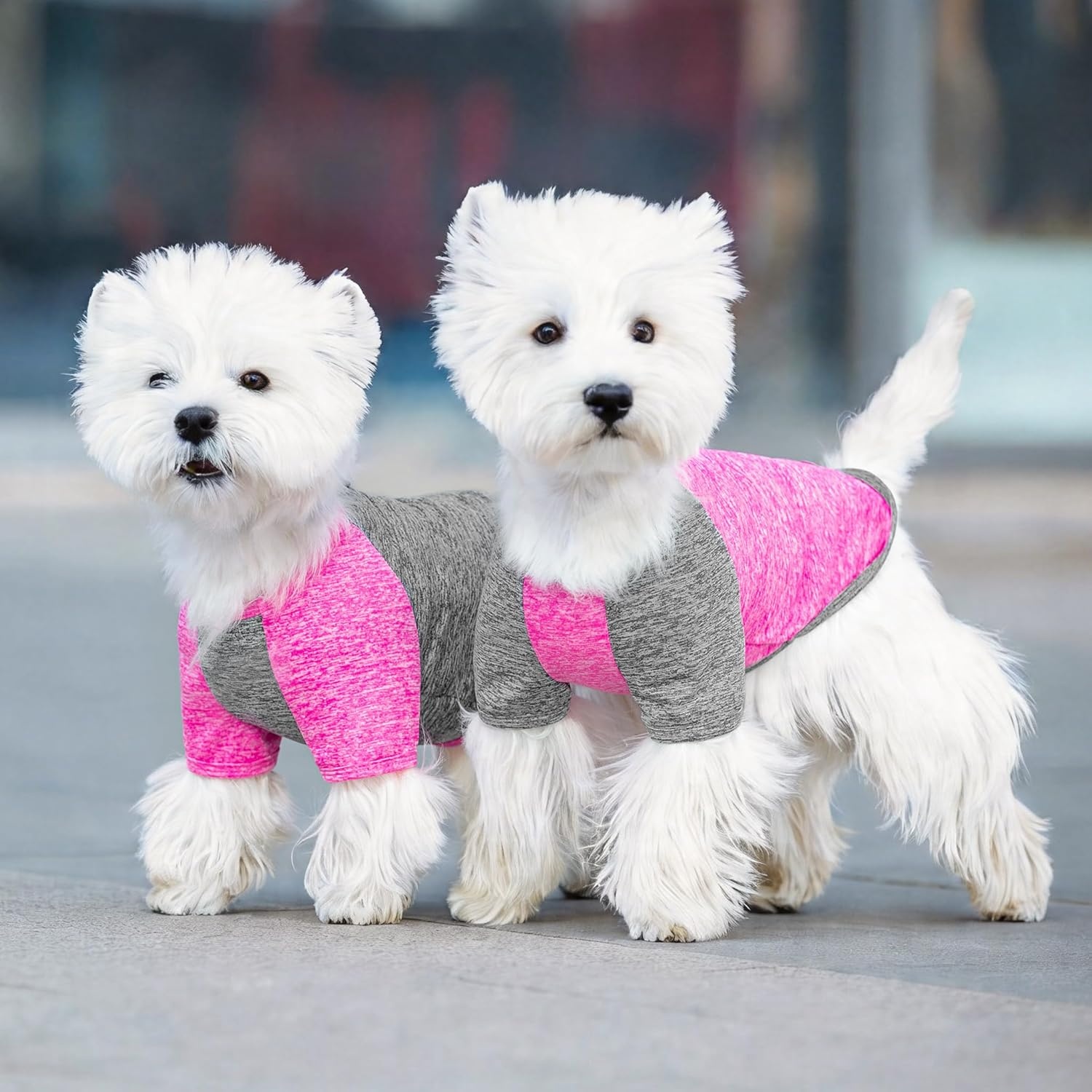 image:imageKYEESE 2 Pack Dog Shirts with Sleeves Lightweight Sun Protection Quick Dry TShirts for Medium Dogs with Sensitive Skin Soft Breathable Summer Clothes Reflective for Night Walks Blue amp Grey XL3 2PackRoseGrey