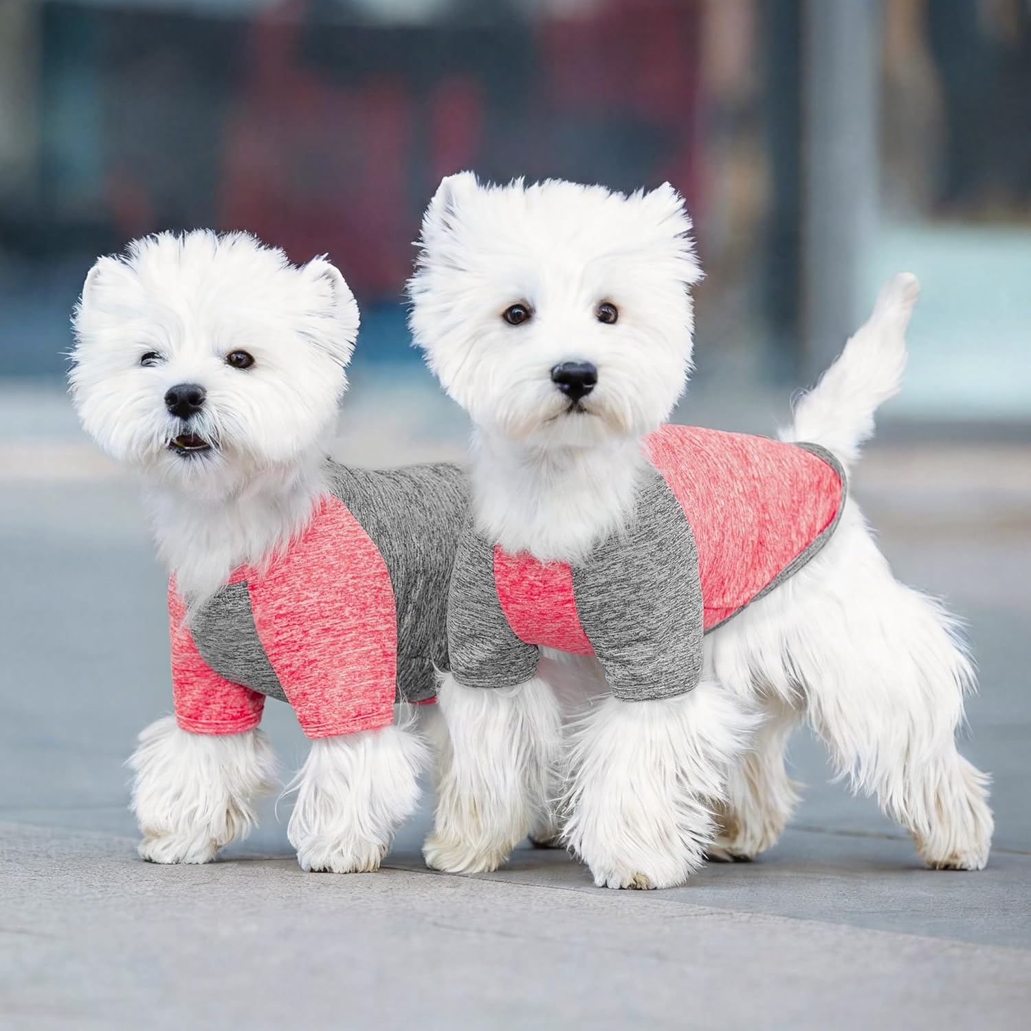 image:imageKYEESE 2 Pack Dog Shirts with Sleeves Lightweight Sun Protection Quick Dry TShirts for Medium Dogs with Sensitive Skin Soft Breathable Summer Clothes Reflective for Night Walks Blue amp Grey XL5 2PackCoral RedGrey