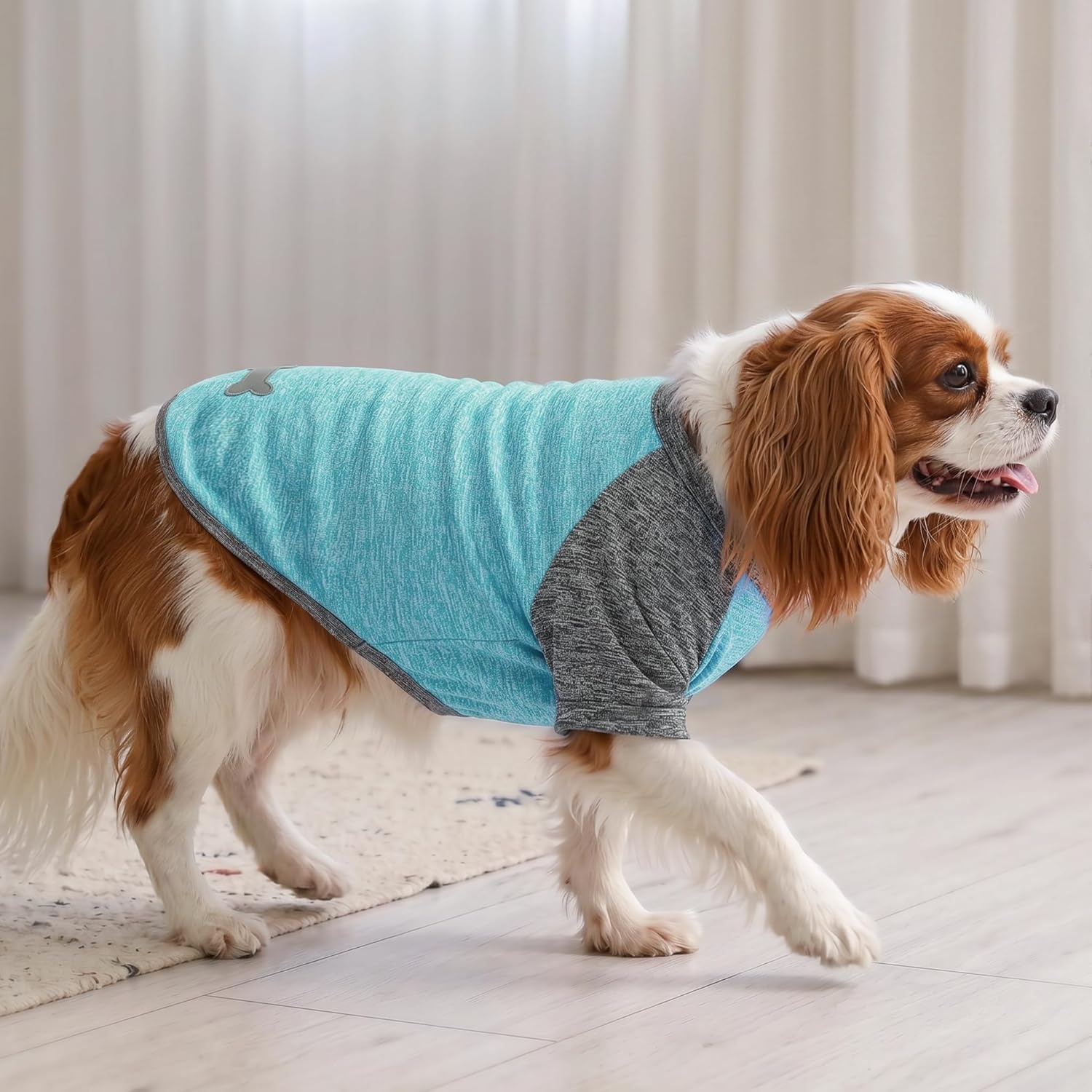 image:imageKYEESE 2 Pack Dog Shirts with Sleeves Lightweight Sun Protection Quick Dry TShirts for Medium Dogs with Sensitive Skin Soft Breathable Summer Clothes Reflective for Night Walks Blue amp Grey XL2 2PackGreyLake Blue