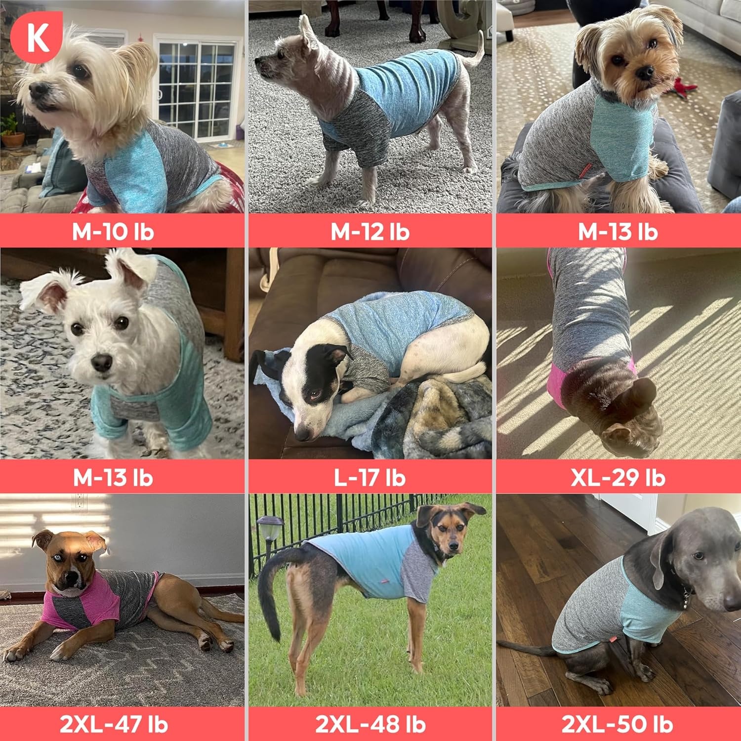 image:imageKYEESE 2 Pack Dog Shirts with Sleeves Lightweight Sun Protection Quick Dry TShirts for Medium Dogs with Sensitive Skin Soft Breathable Summer Clothes Reflective for Night Walks Blue amp Grey XL1 2PackBlueGrey