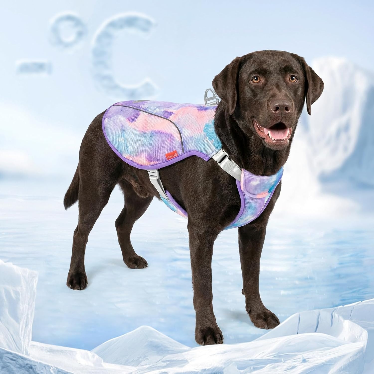 image:imageKYEESE Dog Cooling Vest Breathable Mesh Dog Cooling Shirt for Small Medium Dogs with DRing Sun Protection Reflective Dogs Cooler Jacket with Adjustable Buckle for Summer Hiking Walking Blue LPurple
