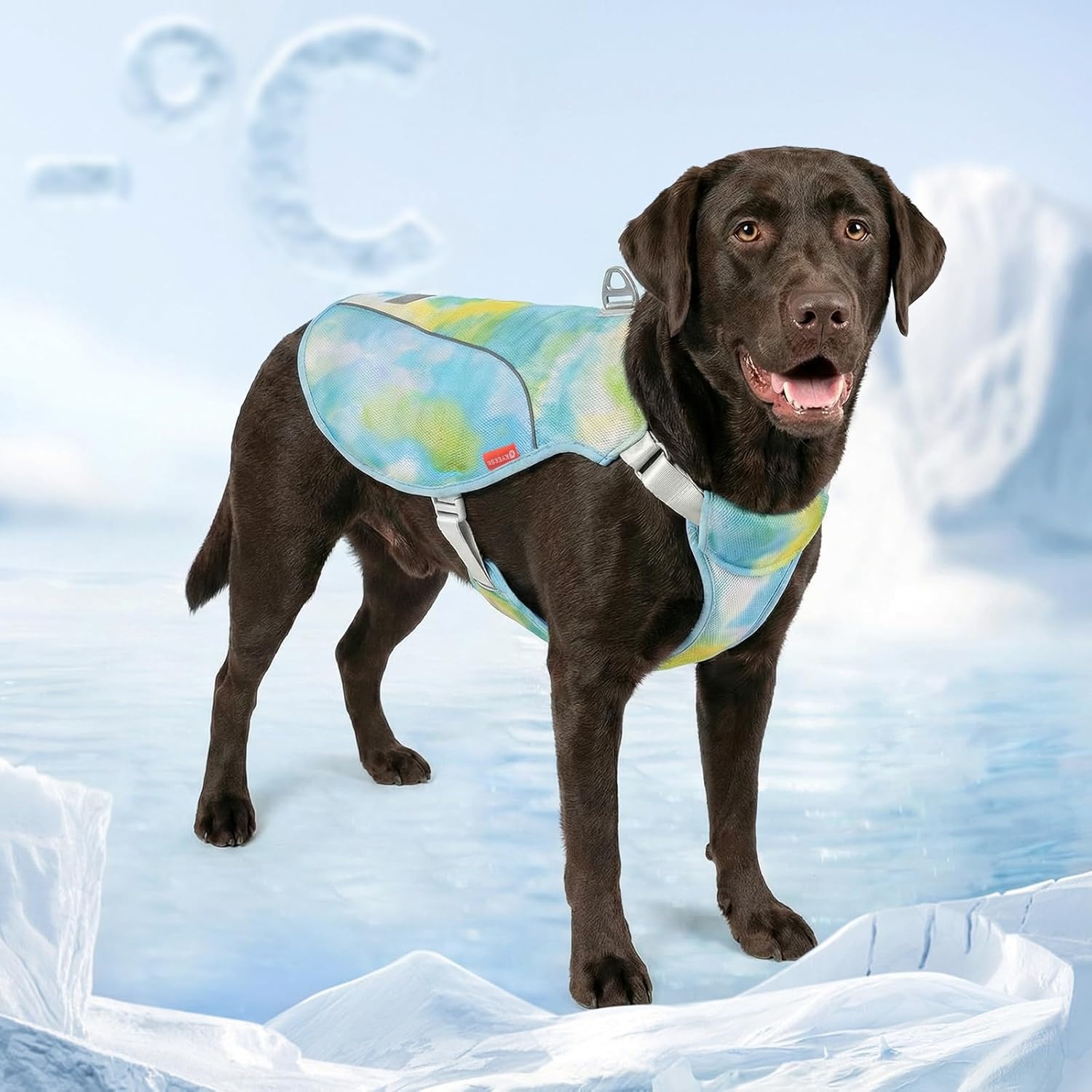 image:imageKYEESE Dog Cooling Vest Breathable Mesh Dog Cooling Shirt for Small Medium Dogs with DRing Sun Protection Reflective Dogs Cooler Jacket with Adjustable Buckle for Summer Hiking Walking Blue LBlue