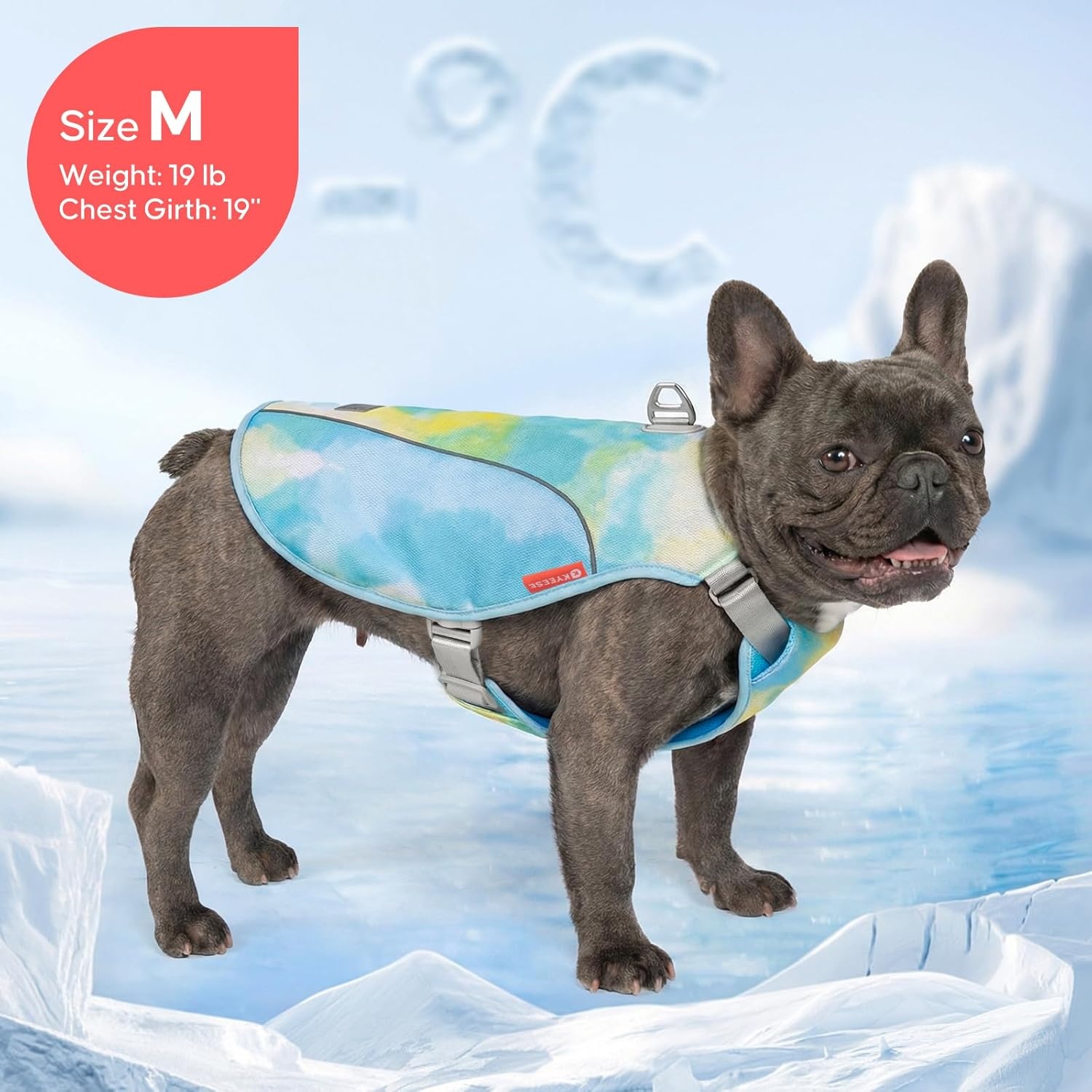 image:imageKYEESE Dog Cooling Vest Breathable Mesh Dog Cooling Shirt for Small Medium Dogs with DRing Sun Protection Reflective Dogs Cooler Jacket with Adjustable Buckle for Summer Hiking Walking Blue LBlue
