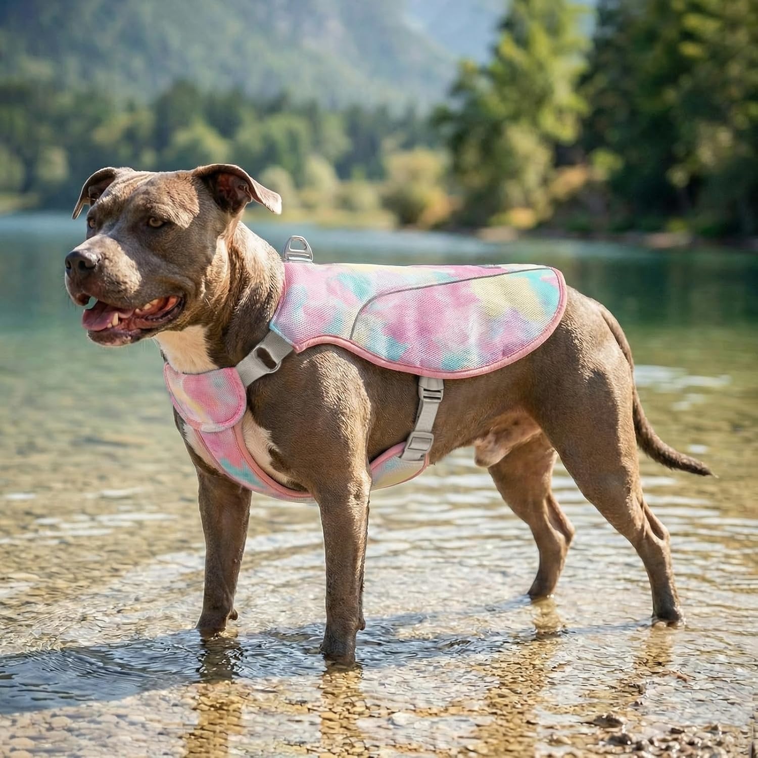 image:imageKYEESE Dog Cooling Vest Breathable Mesh Dog Cooling Shirt for Small Medium Dogs with DRing Sun Protection Reflective Dogs Cooler Jacket with Adjustable Buckle for Summer Hiking Walking Blue LPink