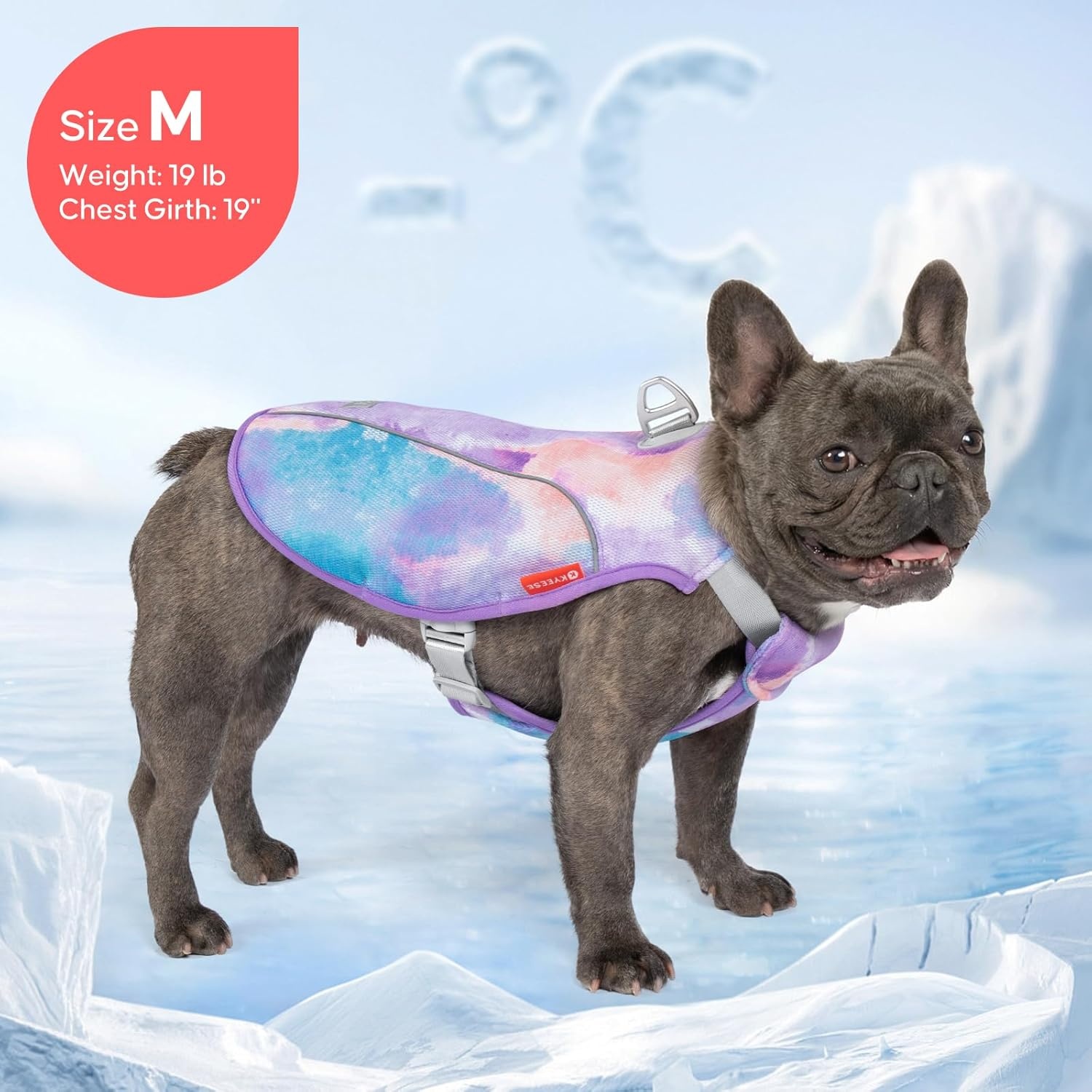 image:imageKYEESE Dog Cooling Vest Breathable Mesh Dog Cooling Shirt for Small Medium Dogs with DRing Sun Protection Reflective Dogs Cooler Jacket with Adjustable Buckle for Summer Hiking Walking Blue LPurple