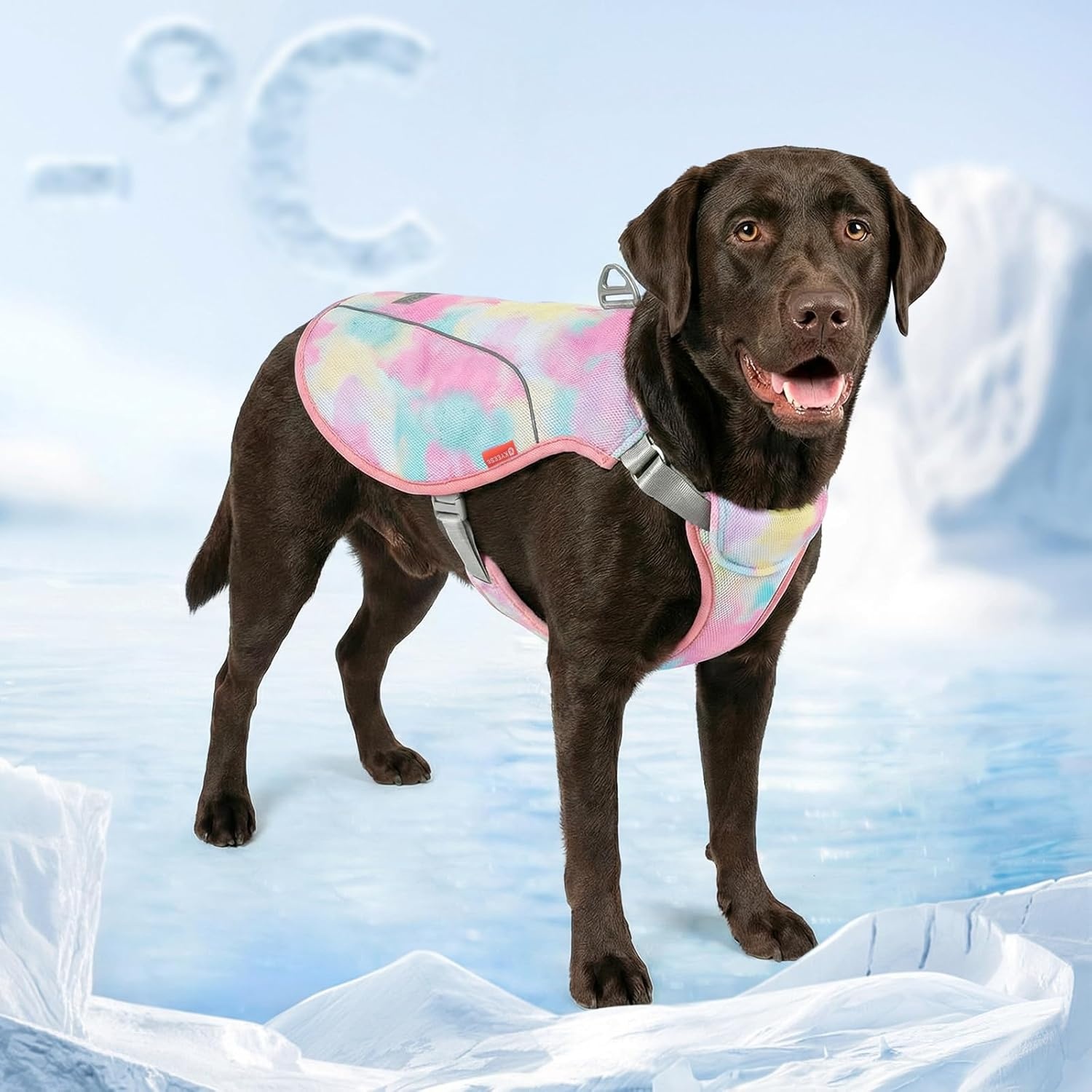 image:imageKYEESE Dog Cooling Vest Breathable Mesh Dog Cooling Shirt for Small Medium Dogs with DRing Sun Protection Reflective Dogs Cooler Jacket with Adjustable Buckle for Summer Hiking Walking Blue LPink