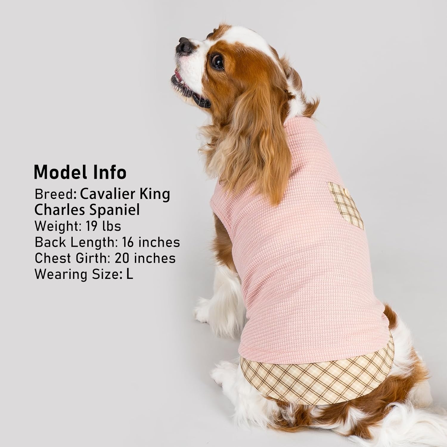 image:imageKYEESE Waffle Dog Shirts for Small Dogs Soft Breathable TShirts Lightweight Sleeveless Pet Vest Stretchy Puppy Clothes with Pocket Decoration and Plaid Patchwork Design Medium5Pink