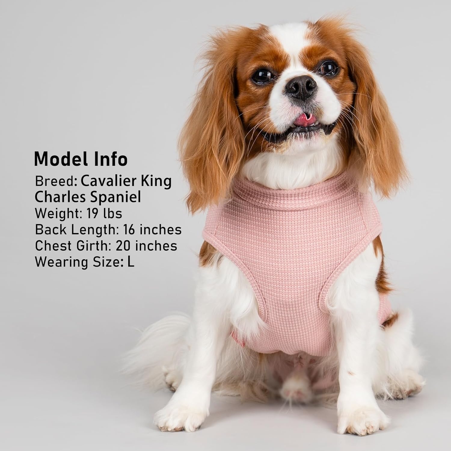 image:imageKYEESE Waffle Dog Shirts for Small Dogs Soft Breathable TShirts Lightweight Sleeveless Pet Vest Stretchy Puppy Clothes with Pocket Decoration and Plaid Patchwork Design Medium5Pink