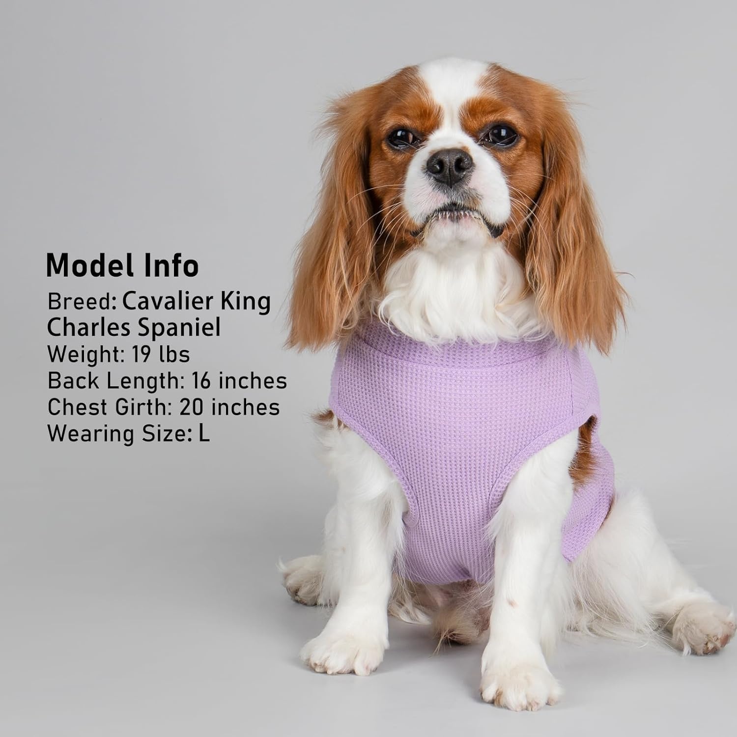 image:imageKYEESE Waffle Dog Shirts for Small Dogs Soft Breathable TShirts Lightweight Sleeveless Pet Vest Stretchy Puppy Clothes with Pocket Decoration and Plaid Patchwork Design Medium3Purple