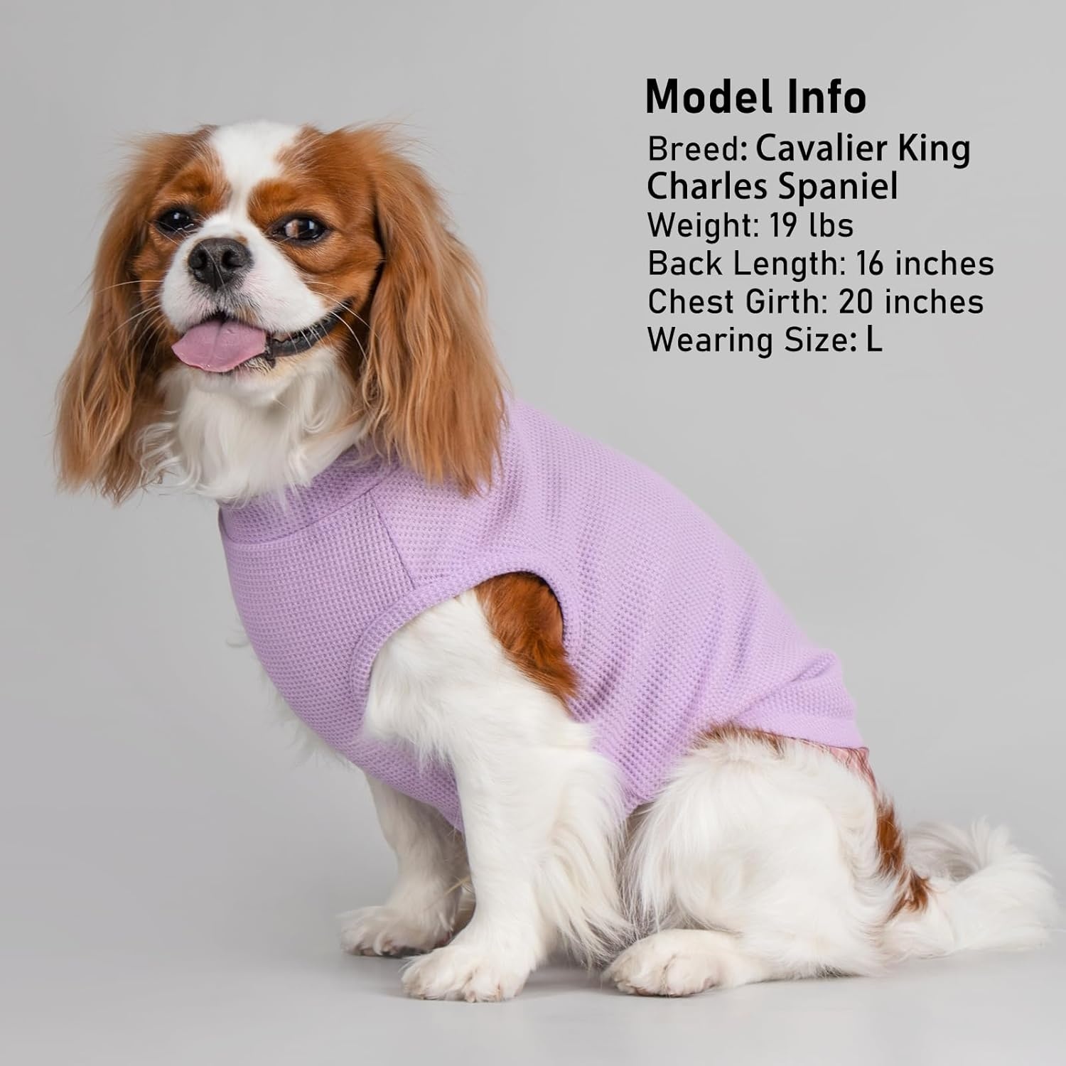 image:imageKYEESE Waffle Dog Shirts for Small Dogs Soft Breathable TShirts Lightweight Sleeveless Pet Vest Stretchy Puppy Clothes with Pocket Decoration and Plaid Patchwork Design Medium3Purple