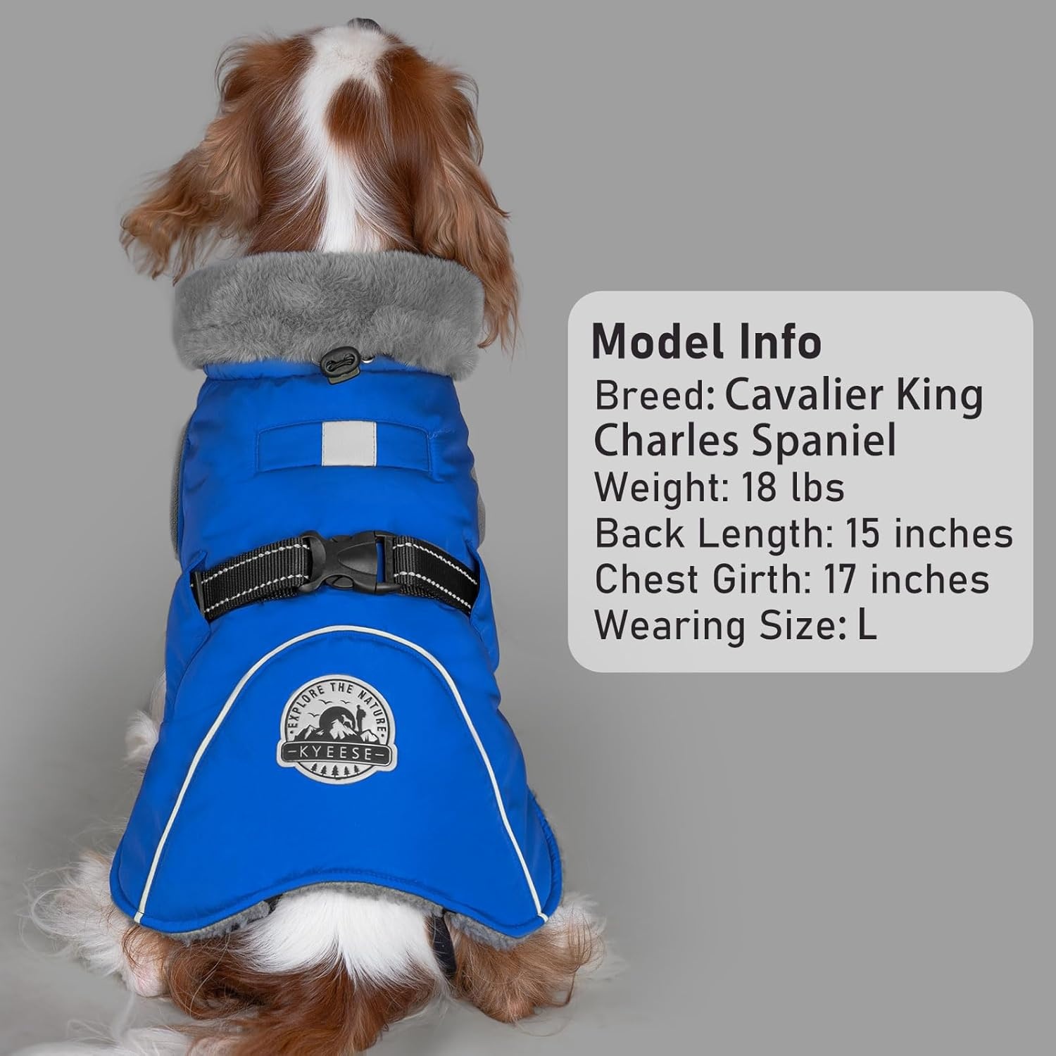 image:imageKYEESE Waterproof Dog Coat Windproof Warm Winter Jacket with Thick Fleece Lined Turtleneck Dog Coats for Small Dogs with Leash Hole Reflective Outdoor Cold Weather Coat Red Medium4 Blue