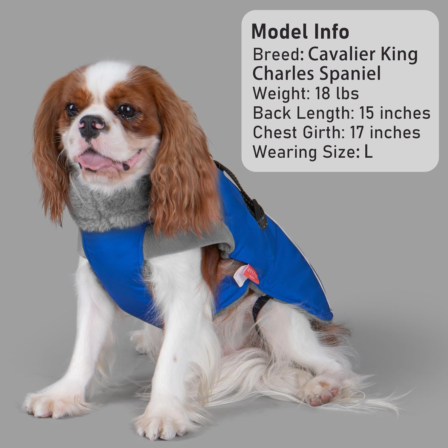 image:imageKYEESE Waterproof Dog Coat Windproof Warm Winter Jacket with Thick Fleece Lined Turtleneck Dog Coats for Small Dogs with Leash Hole Reflective Outdoor Cold Weather Coat Red Medium4 Blue