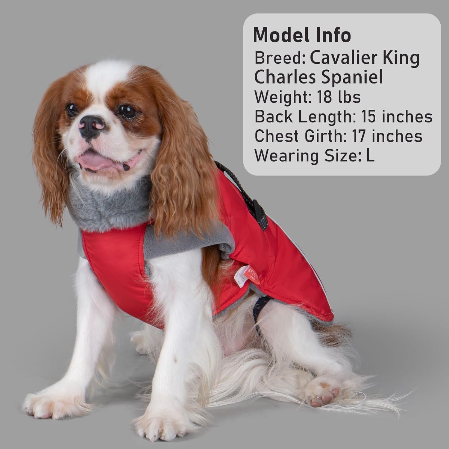 image:imageKYEESE Waterproof Dog Coat Windproof Warm Winter Jacket with Thick Fleece Lined Turtleneck Dog Coats for Small Dogs with Leash Hole Reflective Outdoor Cold Weather Coat Red Medium1 Red